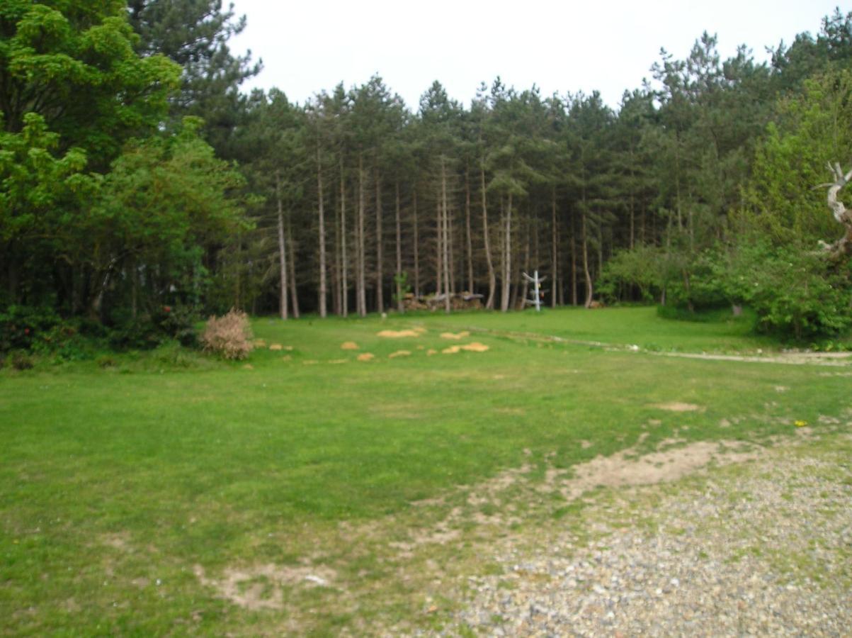 Felgate Cottage Thorpe Market Εξωτερικό φωτογραφία